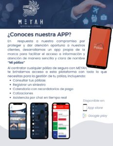 Tus colaboradores tienen más cerca sus seguros con nuestra APP